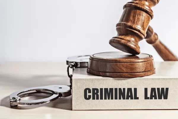 Criminal-Law-Defence-Lawyer