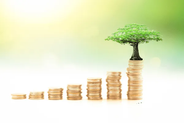 lawyer-misappropriation-of-client-funds